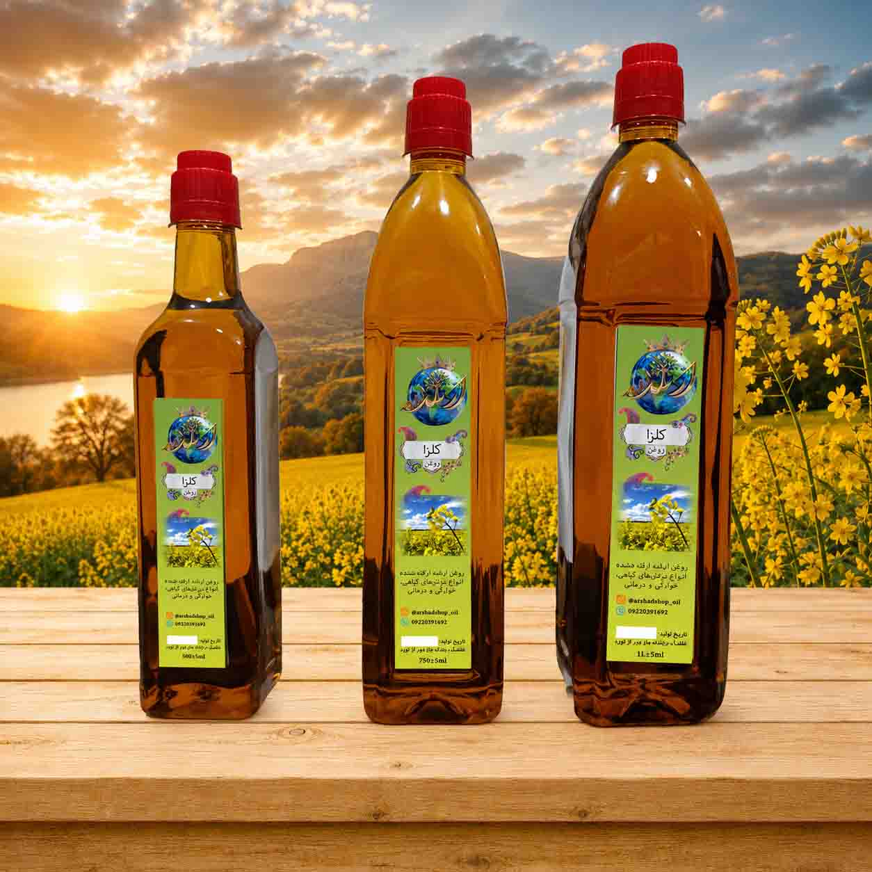Rapeseed oil روغن کلزا ارشد